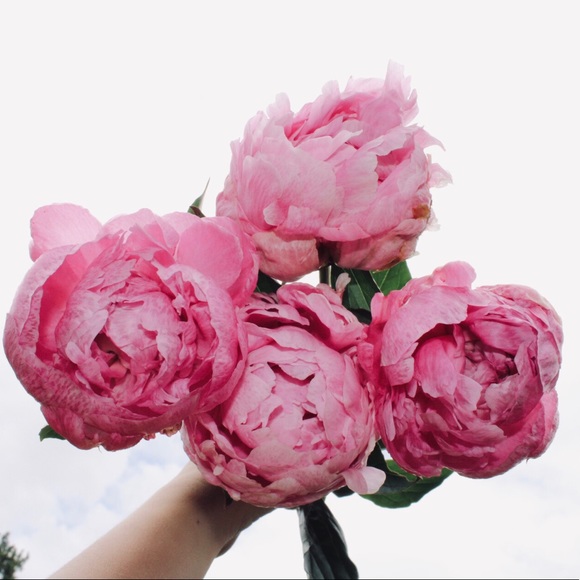 Meet your Posher, Kaylah - Picture 6 of 6